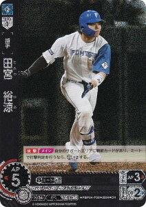 ypzh[I[_[ PBP04-F09 c{@T kC{nt@C^[Y (CH Rz) v싅J[hQ[ pE[O u[X^[pbN 2024 Vol.4