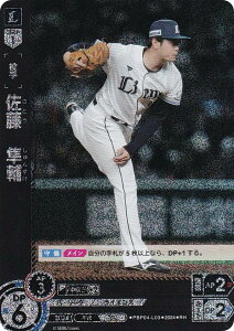 ypzh[I[_[ PBP04-L03 @ ʐCIY (RH Az) v싅J[hQ[ pE[O u[X^[pbN 2024 Vol.4