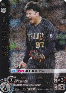 ypzh[I[_[ TBP01-B14 Óc@ IbNXEot@[Y (OR IWiA) v싅J[hQ[ cu[X^[ vV̖ҋ