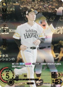 yXyVpzh[I[_[ TBP01-H19 ؁@q \tgoNz[NX (SP XyV) v싅J[hQ[ cu[X^[ eR