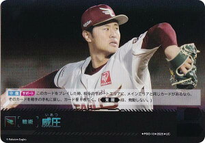 h[I[_[ BP01/PDO-13 Ј kyVS[fC[OX (UC AR) v싅J[hQ[ 12cu[X^[ HEROES of 2025