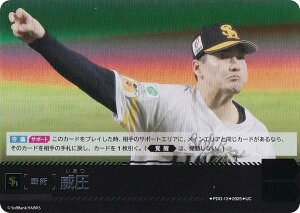 h[I[_[ BP01/PDO-13 Ј \tgoNz[NX (UC AR) v싅J[hQ[ 12cu[X^[ HEROES of 2025