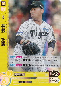 ypzh[I[_[ BP01-T02 ˕~@n _^CK[X (OSR IWiX[p[A) v싅J[hQ[ 12cu[X^[ HEROES of 2025