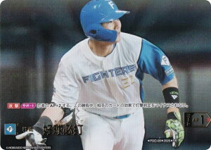 yXyVpzh[I[_[ BP01/PDO-09 DK kC{nt@C^[Y (SP XyV) v싅J[hQ[ 12cu[X^[ HEROES of 2025