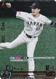 h[I[_[ PB01-SJ11 kR@j kC{nt@C^[Y (UR EgA) v싅J[hQ[ v~Au[X^[ Wp