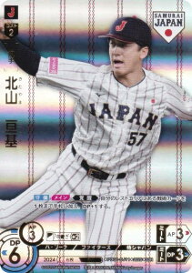 yp/z[ver.zh[I[_[ PB01-SJ11 kR@j kC{nt@C^[Y (SJR WpA) v싅J[hQ[ v~Au[X^[ Wp