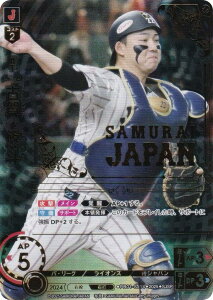 ypzh[I[_[ PB01-SJ14 É@Il ʐCIY (SJSP WpXyV) v싅J[hQ[ v~Au[X^[ Wp