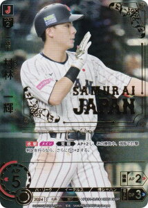 ypzh[I[_[ PB01-SJ19 с@P kyVS[fC[OX (SJSP WpXyV) v싅J[hQ[ v~Au[X^[ Wp