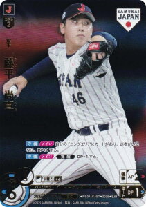 yp/rW^[ver.zh[I[_[ PB01-SJ07 @^ kyVS[fC[OX (SJR WpA) v싅J[hQ[ v~Au[X^[ Wp