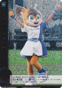 ypzh[I[_[ TBP01/TIME-F09 |[|X kC{nt@C^[Y (TP ^C|Cg) v싅J[hQ[ cu[X^[ FIGHTERS GLORY