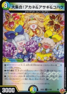 �y�z�C���Łz�f���G���}�X�^�[�Y DM25EX3 57/80 ��W���I�A�J�l���A�T�M���R�n�N (U �A���R����) �א_�����f���G�i�}�C�g�p�b�N�u����W�v (DM25-EX3)