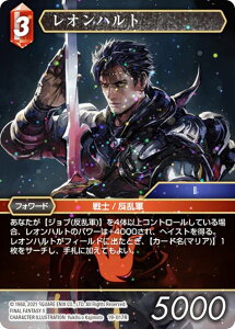 yv~Azt@Cit@^W[TCG 19-017R Ing (R A) u[X^[pbN 藈 Opus 19