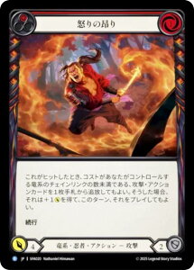 �t���b�V�����u���b�h SFA JP 020 �{��̍V�� (���{��� R ���A) Flesh and Blood �V���o�[�G�C�W �`���v�^�[2 �t�@�C