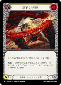 �t���b�V�����u���b�h SUP JP 173 �G���ł̐ؒf (���{��� S �X�[�p�[���A) Flesh and Blood ��������
