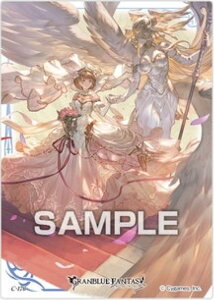 yC-176 WGbg (LN^[J[h) z Ou[t@^W[ NAJ[hRNVK4