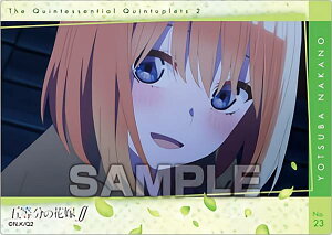 yNo.23 lt (V[Jbg) z ܓ̉ԉŁ NAJ[hRNVK