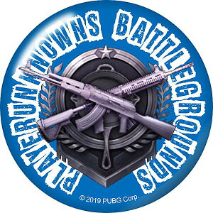 yM416×AKMz PlayerUnknownfs Battlegrounds PUBG ʃobW