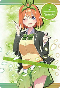 y1-04 ltz ܓ̉ԉŁ ^J[hRNV