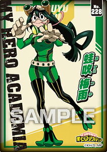 yNo.228 ^~Jz l̃q[[AJf~A NAJ[hRNVK5