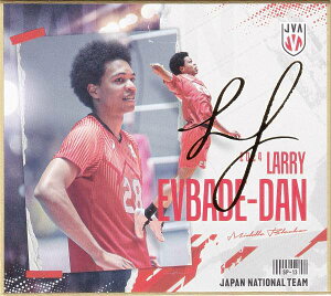 y[TC] SP-13 Gof_ [ (XyV) z o[{[jq{\2024 g[fBOminiF