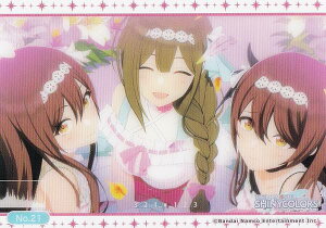 yNo.21 AXgAAz uV[hg[fBOJ[h RNVNA Aj ACh}X^[ VCj[J[Y