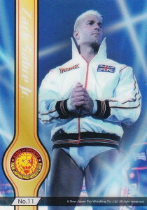 yNo.11 UbNEZCo[Jr.z uV[hg[fBOJ[h RNVNA V{vX