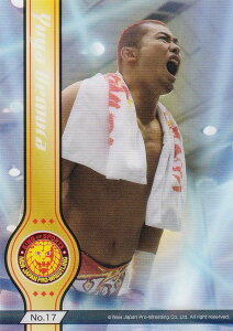 yNo.17 㑺Dz uV[hg[fBOJ[h RNVNA V{vX