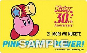 y21.Xʂāz ̃J[rB 30th fRXebJ[