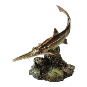 ymRMUz ̑}Ӄ~jRNV T02