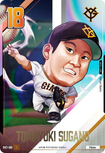 yBDC1-G02 @qV (R A) z v싅ftHJ[hRNV2024 ̎ J[ĥ