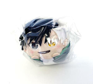 yyz WIND BREAKER  ʂ݃}XRbg