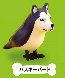 ynXL[o[hz CkgƑ ~jtBMARNV