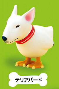 yeAo[hz CkgƑ ~jtBMARNV