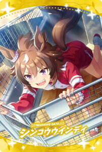 yW2-27 [///WARNING GATE///] VREECfB (T|[gJ[hSR) z E} veB[_[r[ cCEGn[X 2R