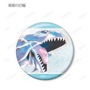 y̔z VYfGX^[Y g[fBOAni-Art aqua labelʃobW VY