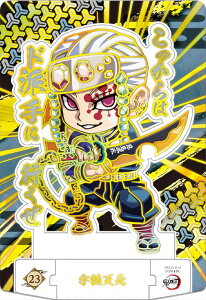 y[dl] 23 FV (A) z Sł̐nVRO[e X^hA[ĝ