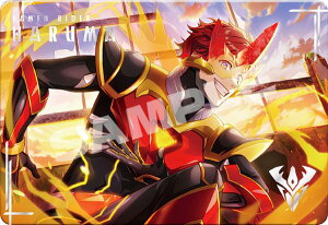 y002 ʃC_[z^z ChJY ^J[hRNV