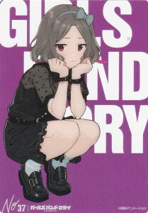 yNo.37 CV˒qz uV[h g[fBOJ[h RNVNA K[YohNC Vol.2