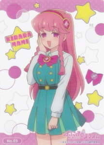 yNo.03 _ꖃz uV[h g[fBOJ[h RNVNA Ղɂ͂킢XC