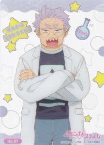 yNo.07 ^˔mz uV[h g[fBOJ[h RNVNA Ղɂ͂킢XC