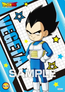 yNo.06 xW[^z hS{[ DAIMA NAJ[hRNVK J[ĥ