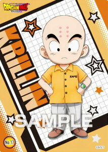 yNo.17 Nz hS{[ DAIMA NAJ[hRNVK J[ĥ