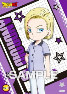 yNo.18 ll18z hS{[ DAIMA NAJ[hRNVK J[ĥ