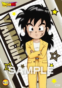 yNo.22 `z hS{[ DAIMA NAJ[hRNVK J[ĥ