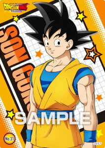 yNo.31 z hS{[ DAIMA NAJ[hRNVK J[ĥ