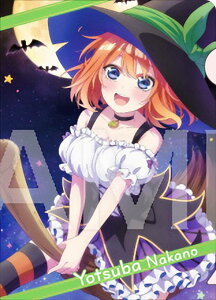 ylt(ʃVGbg)z ܓ̉ԉŁ ~jNAt@C A6TCY