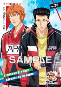 yNo.30 ΐ镐z VejX̉ql NAJ[hRNVK