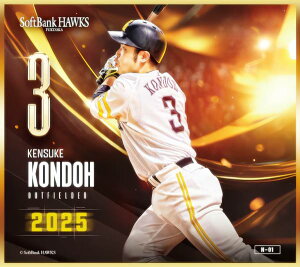 yN-01 ߓ (m[}miniF) z \tgoNz[NX`2025` g[fBO~jF