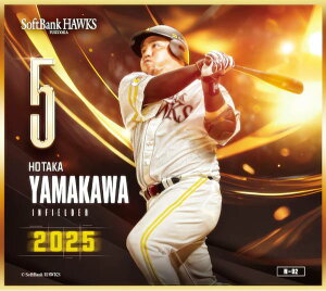 yN-02 R䍂 (m[}miniF) z \tgoNz[NX`2025` g[fBO~jF