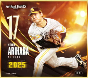 yN-08 Lq (m[}miniF) z \tgoNz[NX`2025` g[fBO~jF